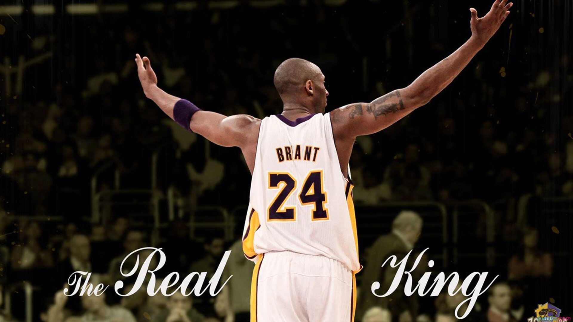 俱乐部在球场维护与安全管理上加大投入,各个俱乐部的球场