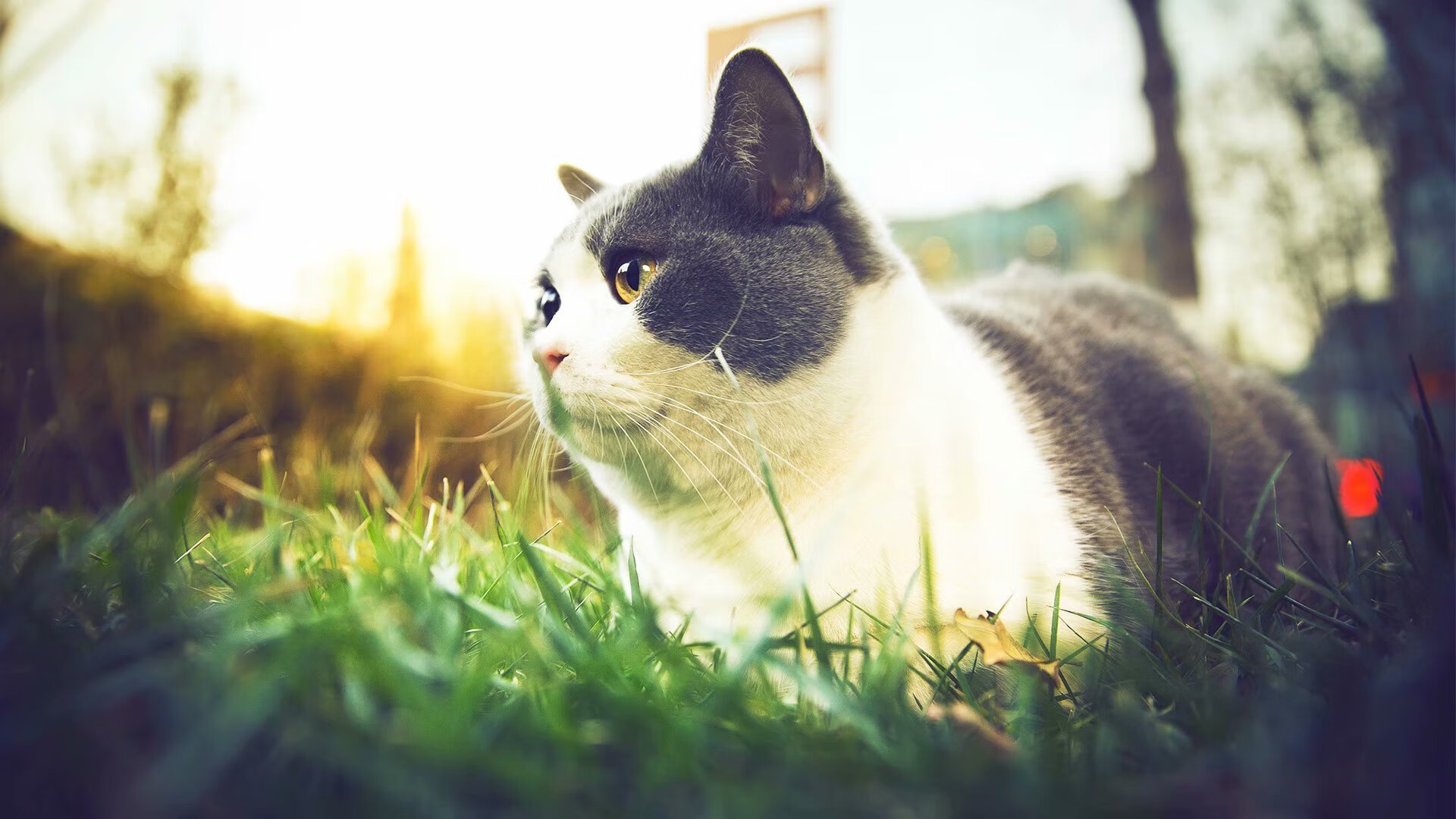 高原马拉松吸引国内外专业选手参赛，马拉松高原训练的利与弊和原则