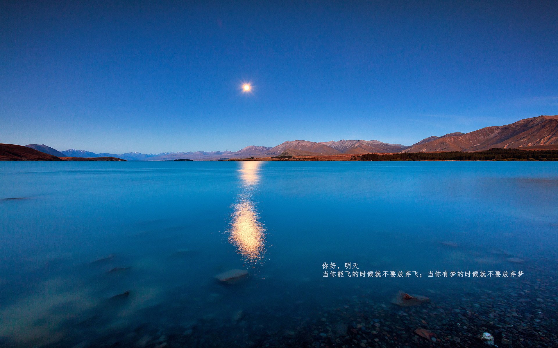 仰泳冲刺希腊队节奏稳定，仰泳国际比赛