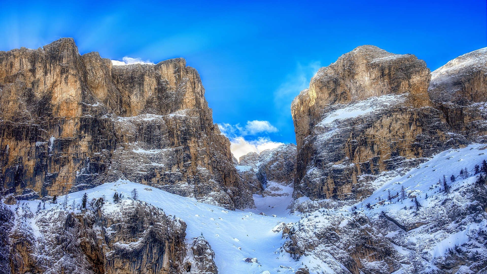 开云体育app下载-Radisavljevic 传达出跨国运动员奋斗故事的力量