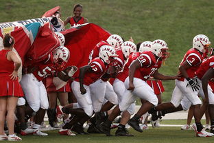 开云体育app官网-中超球队备战训练强度升级，中超各队预备队大名单